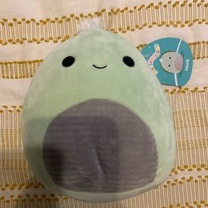 Herb the turtle squishmallow